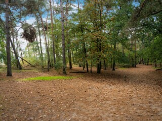 Maison de vacances Udenhout Environnement 31