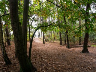 Vakantiehuis Udenhout Omgeving 35
