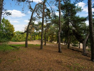 Vakantiehuis Udenhout Omgeving 35