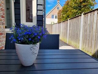 Casa per le vacanze Domburg Registrazione all'aperto 4