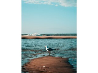 Casa per le vacanze Oostkapelle Ambiente 17