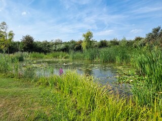 Holiday house Serooskerke Environment 25