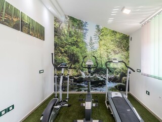 Villa Istra Kamen