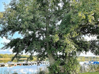 Holiday house Källby  8