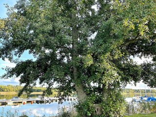 Vakantiehuis Källby  8