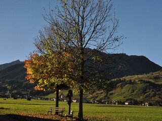 Blick nach Holzgau