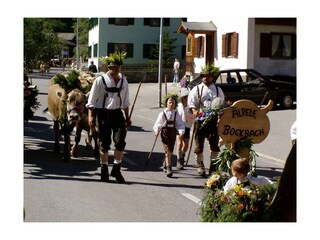 Almabtrieb in Steeg