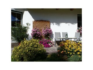 Haus_ (11)