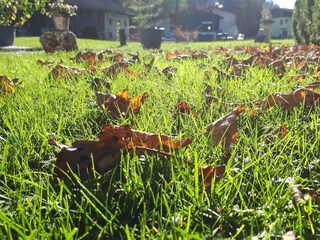 Herbstzeit