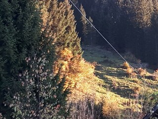Herbstabend