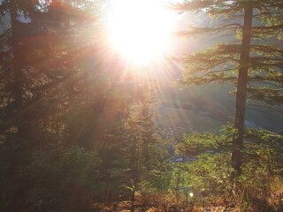 Herbst Stimmung