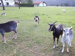 Nachbarschaft