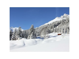 Winterlandschaft mit Hochvogel