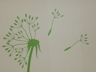 Appartamento per vacanze Salem Caratteristiche 16