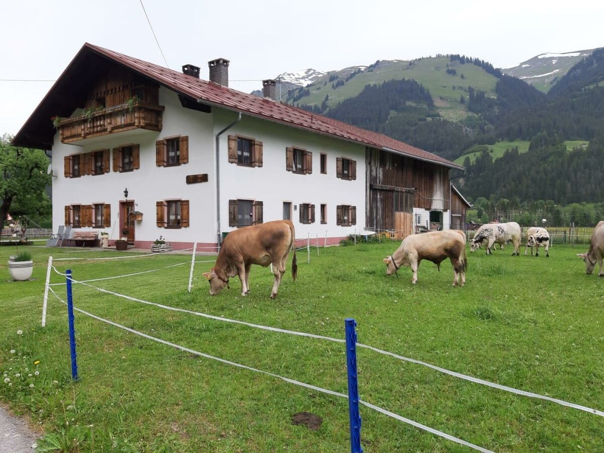 Aussenfoto_Haus Huber_Bach