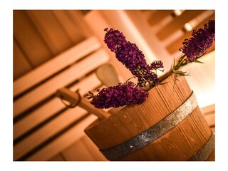 Feratel_Apart_Andrea_2025-56