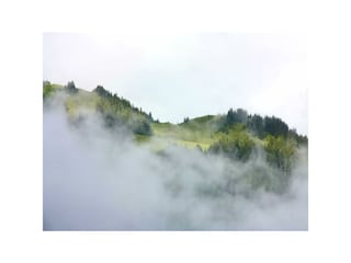 11-08-5_9 Lechtal Steeg 57