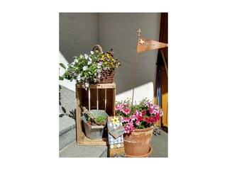 IMG_20170609_093839861_HDR