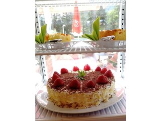 Camera per vacanze Stanzach Registrazione all'aperto 15