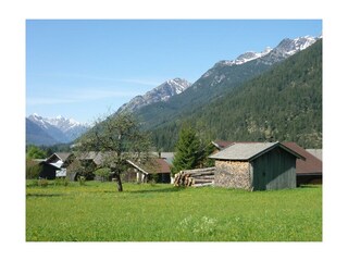 Aussicht vom Haus nach Süden