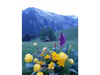 Camera per vacanze Holzgau Registrazione all'aperto 20