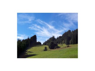 Camera per vacanze Holzgau Registrazione all'aperto 25