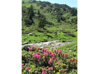 Camera per vacanze Holzgau Registrazione all'aperto 41