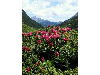 Appartamento Holzgau Registrazione all'aperto 31