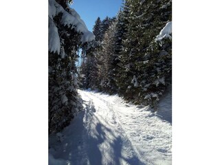 Appartamento Holzgau Registrazione all'aperto 43