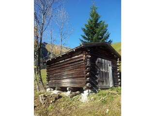 Appartamento Holzgau Registrazione all'aperto 55