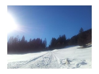 Appartamento Holzgau Registrazione all'aperto 60