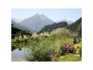 Ausblick Berg und Teich