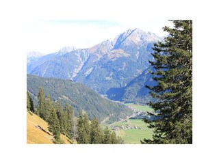 IMG_2216