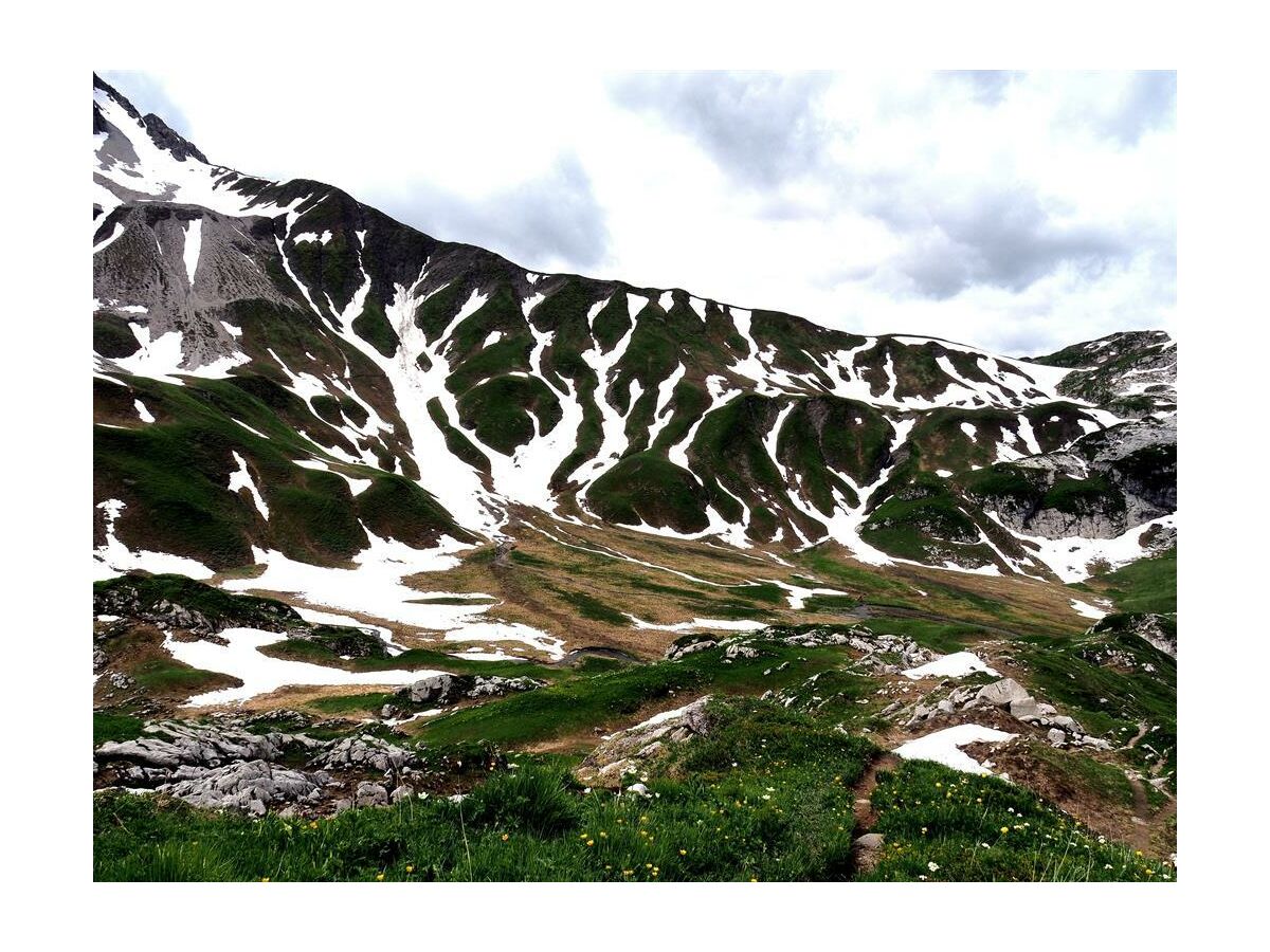 alpenhof_schneeschmelze_steeg_lechtal.jpg