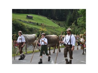 Appartamento Holzgau Registrazione all'aperto 15