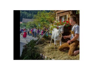 Appartamento Holzgau Registrazione all'aperto 19