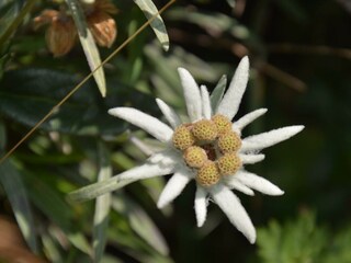 Appartamento Holzgau Registrazione all'aperto 44