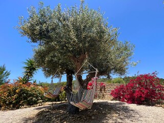 Villa Finikounda - Die Gartenschaukel