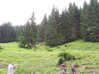 Vor dem Haus Blickrichtung Süd-Osten