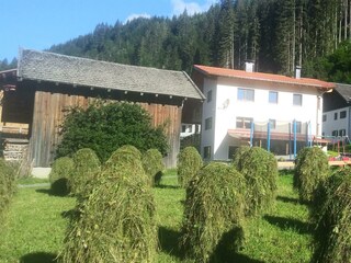 Bei der ursprünglichen Heuernte unterm Haus