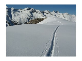 IMG_4782