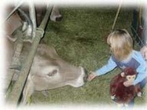 Doppelzimmer mit Genußfrühstück und Bioecke