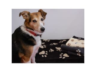 Hundebetten