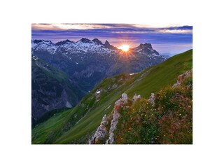 _DSC7435