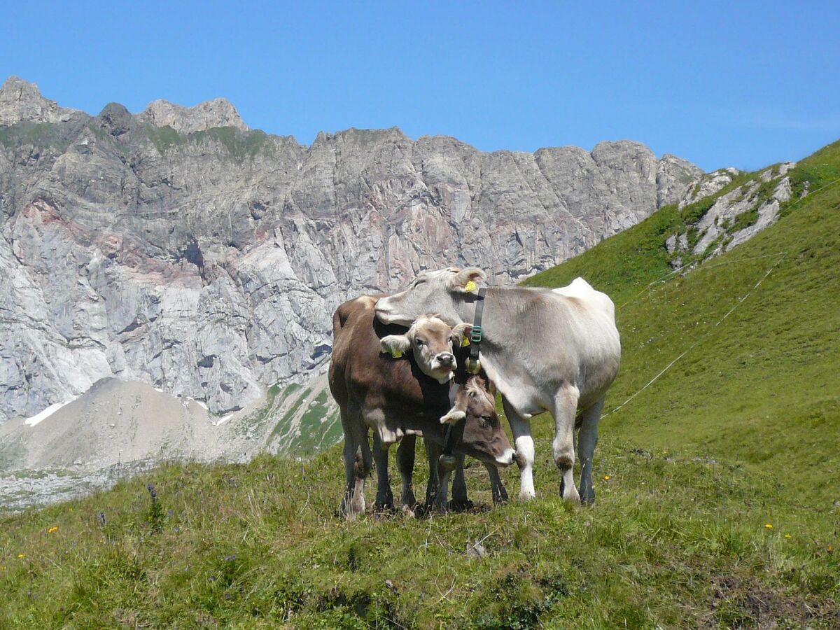 Kuschelzeit in den Bergen