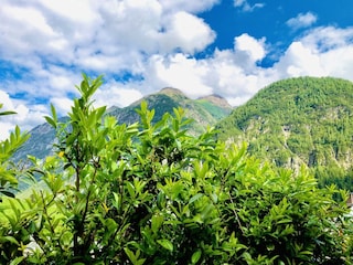 Aussicht auf die Bergwelt