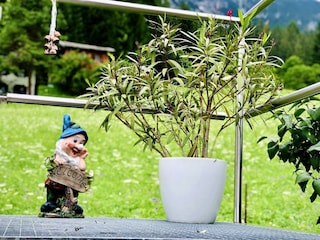 Zwerg