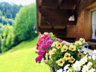 Balkonblumen