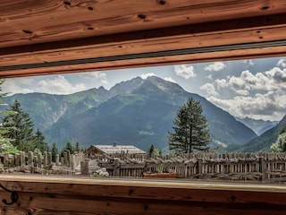 P1048544 (2)
