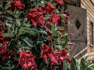 P1012379